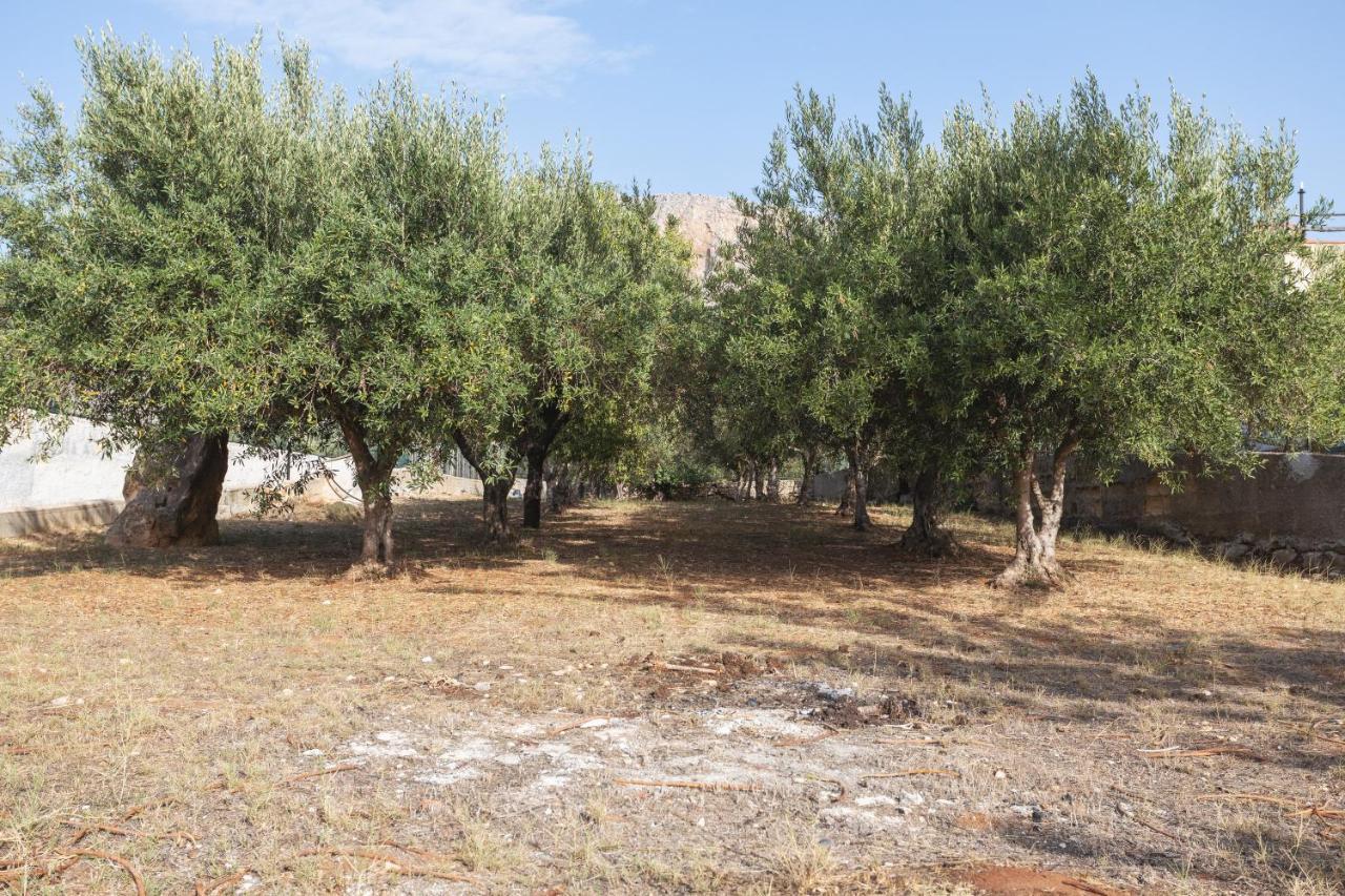 Vila Casa Vista Mare Tra Gli Ulivi Terrasini Exteriér fotografie